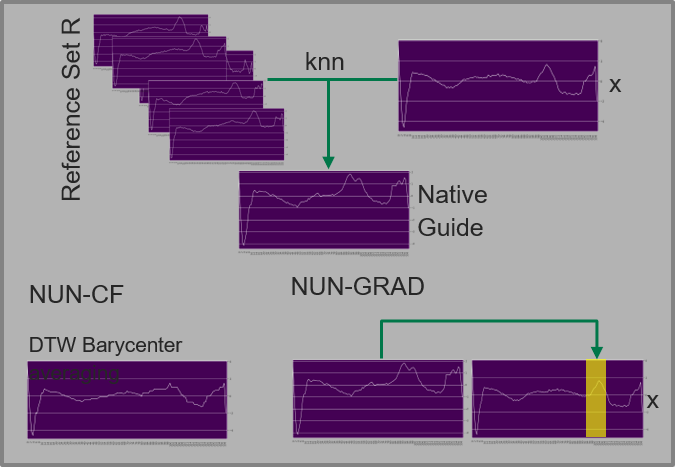 Visualization of Nun-CF